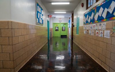 In New York City Public Schools, Brown v. Board remains…unfulfilled